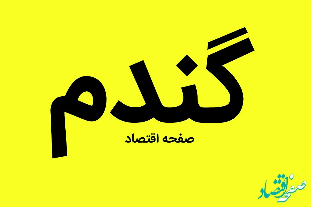آخرین خبر از پرداخت مطالبات گندمکاران امروز پنجشنبه ۱۷ مهر ماه ۱۴۰۴ | هاشمی گفته های این مدیر را تکذیب کرد