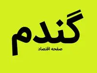 تابستان هم تمام شد و خبری از اجرای وعده های سرخرمن به گندمکاران نیست! | دوربین که باشد همه دستان کشاورزان را می بوسند! 