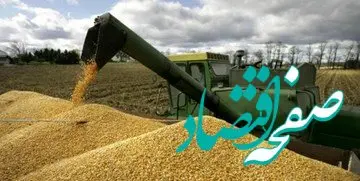 کشاورزان منتظر تصمیم گیری مسئولان برای تعیین نرخ تضمینی 