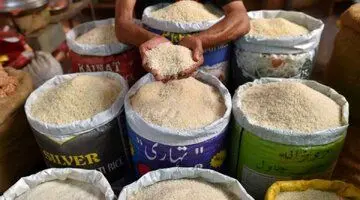قیمت انواع برنج ایرانی سقوط کرد