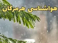 پیش بینی هواشناسی هرمزگان ۲۴ ساعت آینده | وضعیت آب و هوا هرمزگان فردا پنجشنبه ۱۴ فروردین ماه ۱۴۰۴ | خبر فوری آب و هوای هرمزگان در روز چهارده فروردین + هواشناسی بندرعباس