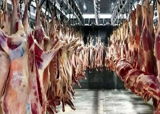 جدیدترین قیمت گوشت قرمز امروز ۲ مرداد ۱۴۰۵