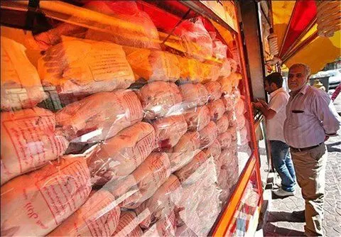 قیمت گوشت مرغ، امروز شنبه ۱ اردیبهشت ماه ۱۴۰۳