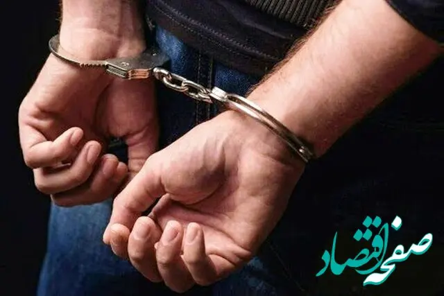 فوری | عامل توهین به شهدای کنسولگری ایران دستگیر شد