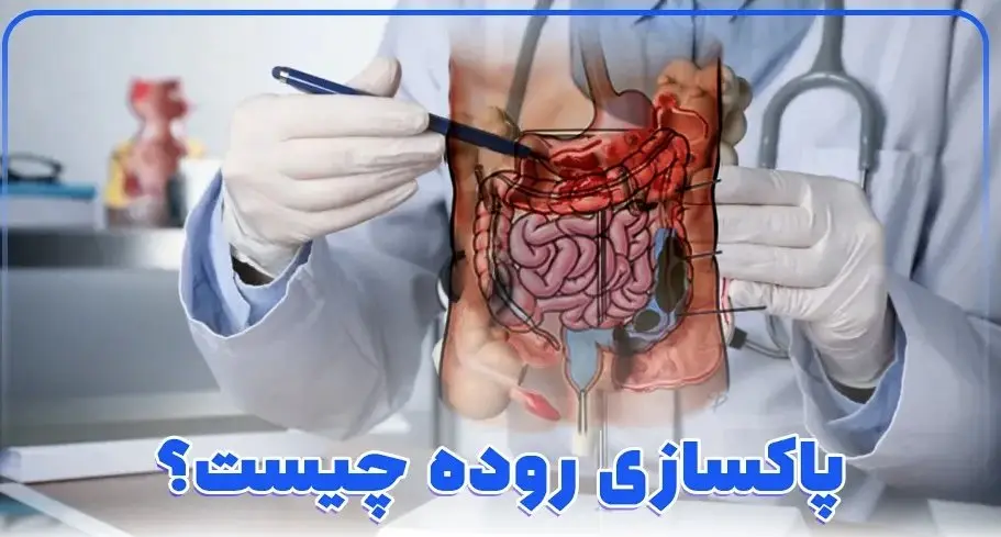 ساده ترین و موثرترین روش های پاکسازی روده خانگی و شیمیائی