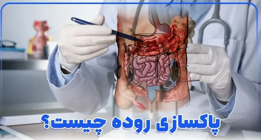 ساده ترین و موثرترین روش های پاکسازی روده خانگی و شیمیائی