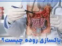 ساده ترین و موثرترین روش های پاکسازی روده خانگی و شیمیائی