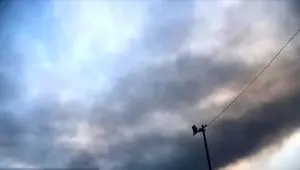 کارگران زیر آوار حادثه بندرگاه / کل ایران داغدار بندرعباس/ اثری از مفقود شدگان نیست
