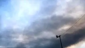 کارگران زیر آوار حادثه بندرگاه / کل ایران داغدار بندرعباس/ اثری از مفقود شدگان نیست