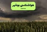 پیش بینی وضعیت آب و هوا بوشهر فردا یکشنبه ۱۱ مرداد ۱۴۰۵