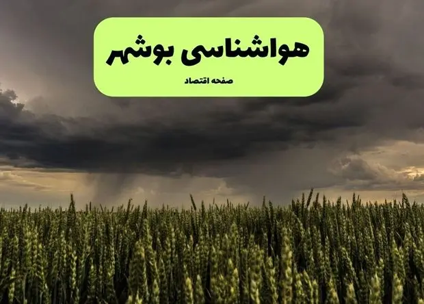 پیش بینی وضعیت آب و هوا بوشهر فردا پنجشنبه ۲۱ اسفند ماه ۱۴۰۴ + هواشناسی بوشهر طی ۲۴ ساعت آینده