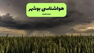 پیش بینی وضعیت آب و هوا بوشهر فردا یکشنبه ۱۱ مرداد ۱۴۰۵