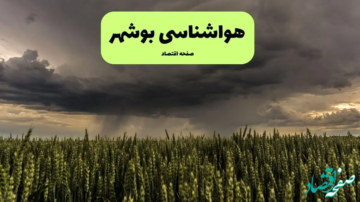 هشدار هواشناسی بوشهر: فردا دمای هوا به ۵۲ درجه می‌رسد | رطوبت ۹۰ درصد و وزش بادهای شدید