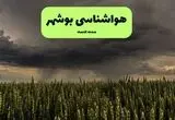 پیش بینی وضعیت آب و هوا بوشهر فردا شنبه ۳۱ مرداد