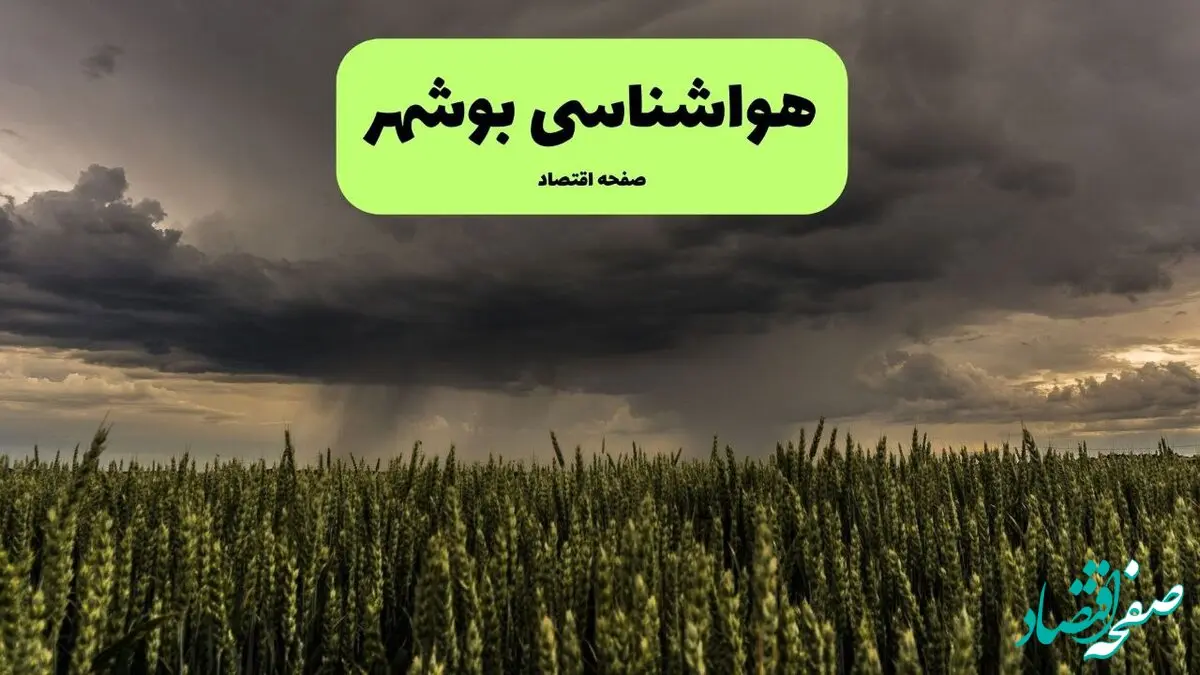 پیش بینی وضعیت آب و هوا بوشهر فردا دوشنبه ۶ بهمن ۱۴۰۴