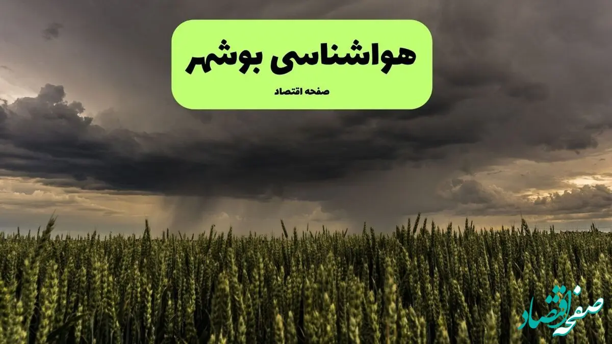 پیش بینی وضعیت آب و هوا بوشهر فردا پنجشنبه ۲۱ اسفند ماه ۱۴۰۴ + هواشناسی بوشهر طی ۲۴ ساعت آینده