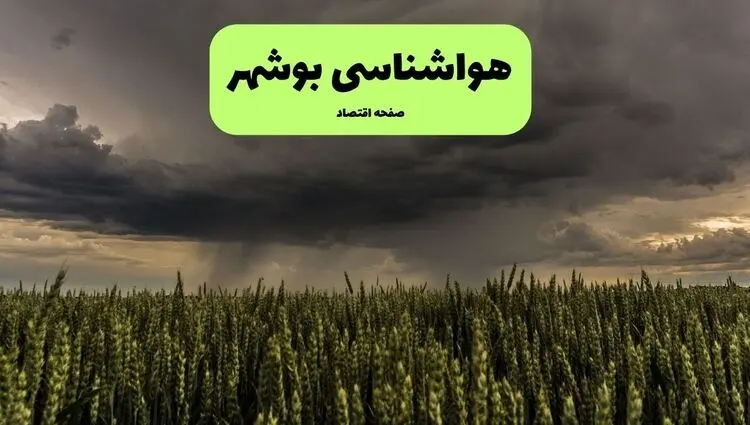 پیش بینی وضعیت آب و هوا بوشهر فردا پنجشنبه ۲۹ مرداد 