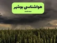 پیش بینی وضعیت آب و هوا بوشهر فردا شنبه ۲۱ شهریور 