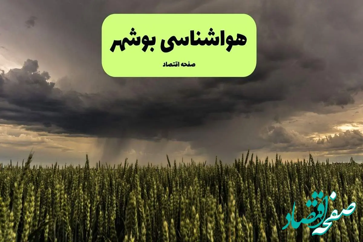 هشدار هواشناسی بوشهر: فردا دمای هوا به ۵۲ درجه می‌رسد | رطوبت ۹۰ درصد و وزش بادهای شدید