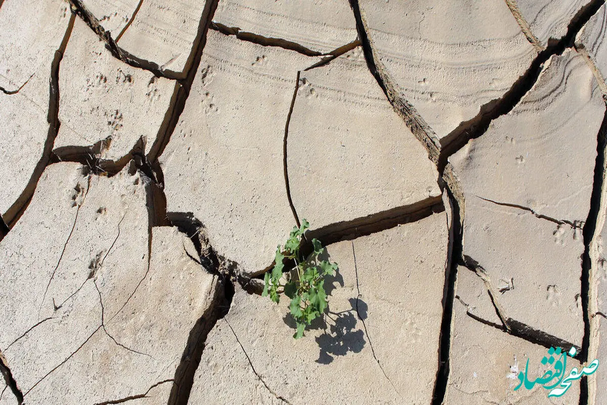 خشکسالی ۲۲۵ هزار میلیارد ریال به کشاورزی این استان خسارت زد