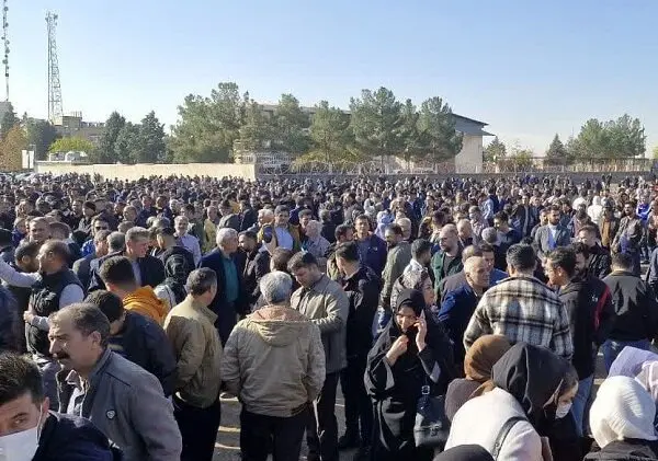 مزایده اموال طراوت نوین برای بازپرداخت مطالبات مالباختگان | پرونده مالباختگان خودرو به کجا رسید؟