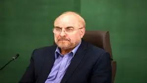 مالیات بر ارزش افزوده تا ۱۵ درصد افزایش یابد اما برای مصرف‌کنندگان متوسط نرخ صفر شود