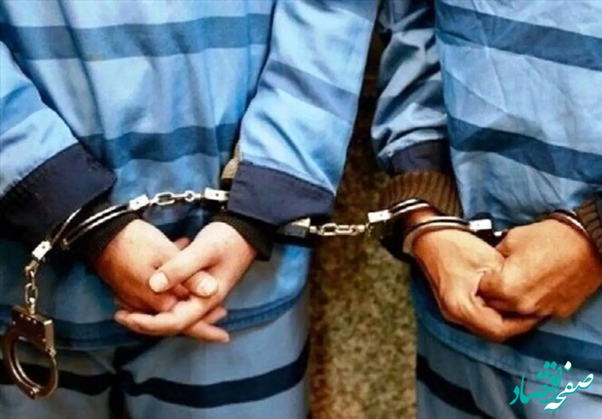 سکه های منتسب به دوره هخامنشیان،کلاهبرداران را به دام پلیس انداخت!