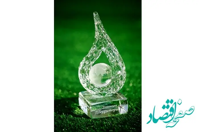 هنرمند قشمی موفق به دریافت جایزه هفتمین فستیوال بین المللی قلمروی فردا روسیه شد