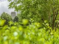 هدف ما؛ ارائه روایت سازمانی فولاد مبارکه از دریچه‌ای حرفه‌ای‌تر به مخاطب