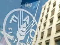 آخرین خبر از بازار مواد غذایی به گفته فائو