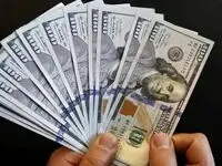 جدیدترین قیمت دلار مبادله ای امروز شنبه ۱۷ خرداد ماه ۱۴۰۴ با یک تغییر جدید
