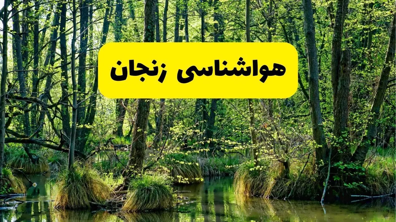 پیش بینی هواشناسی زنجان ۲۴ ساعت آینده | پیش بینی وضعیت آب و هوا زنجان فردا دوشنبه ۲۹ اردیبهشت ۱۴۰۴