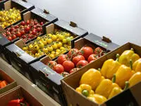 جزئیات کامل درباره فروش آنلاین میوه و تره‌بار در میادین پایتخت