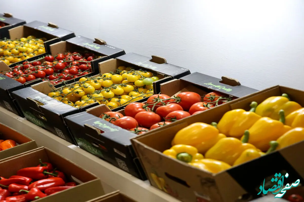 جزئیات کامل درباره فروش آنلاین میوه و تره‌بار در میادین پایتخت