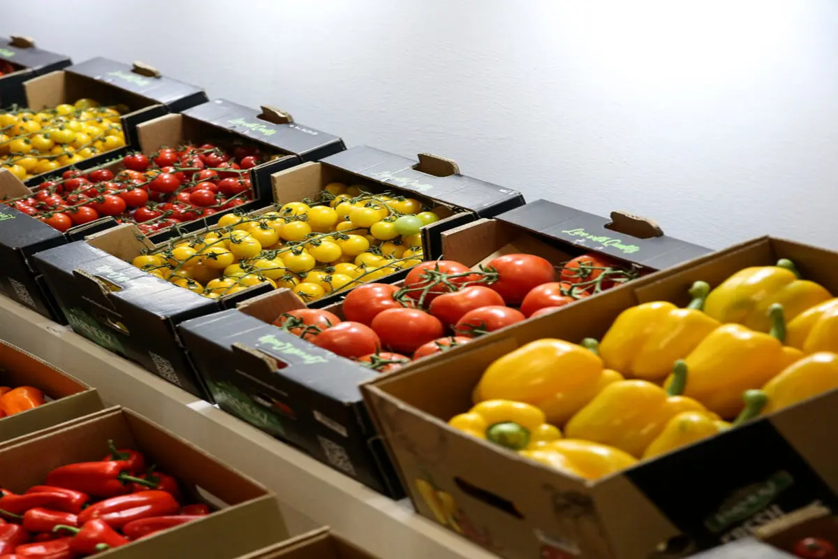 جزئیات کامل درباره فروش آنلاین میوه و تره‌بار در میادین پایتخت