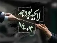 شورای نگهبان به لایحه بودجه ۱۴۰۳ چه ایراداتی گرفت؟ 