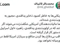 رئیس مجلس: آمریکایی ها ذخایر پدافندی را اولویت بندی کرده‌اند
