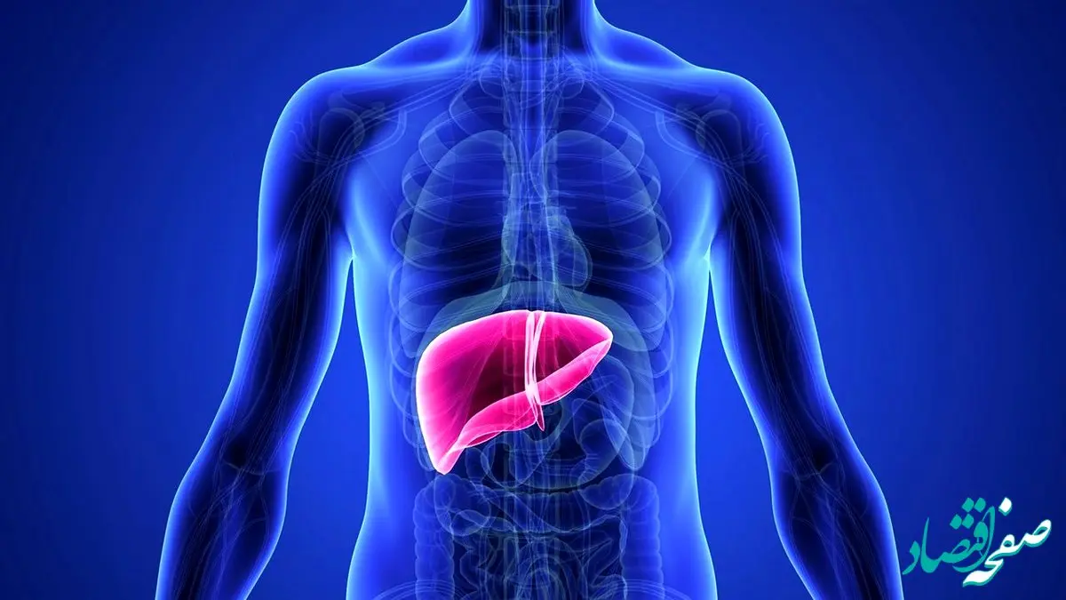 برای درمان کبد چرب چه ورزشی بهتر است؟