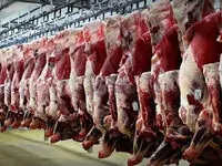 آخرین قیمت گوشت گوسفندی در بازار امروز | قیمت هر کیلو دام سبک زنده چقدر شد؟
