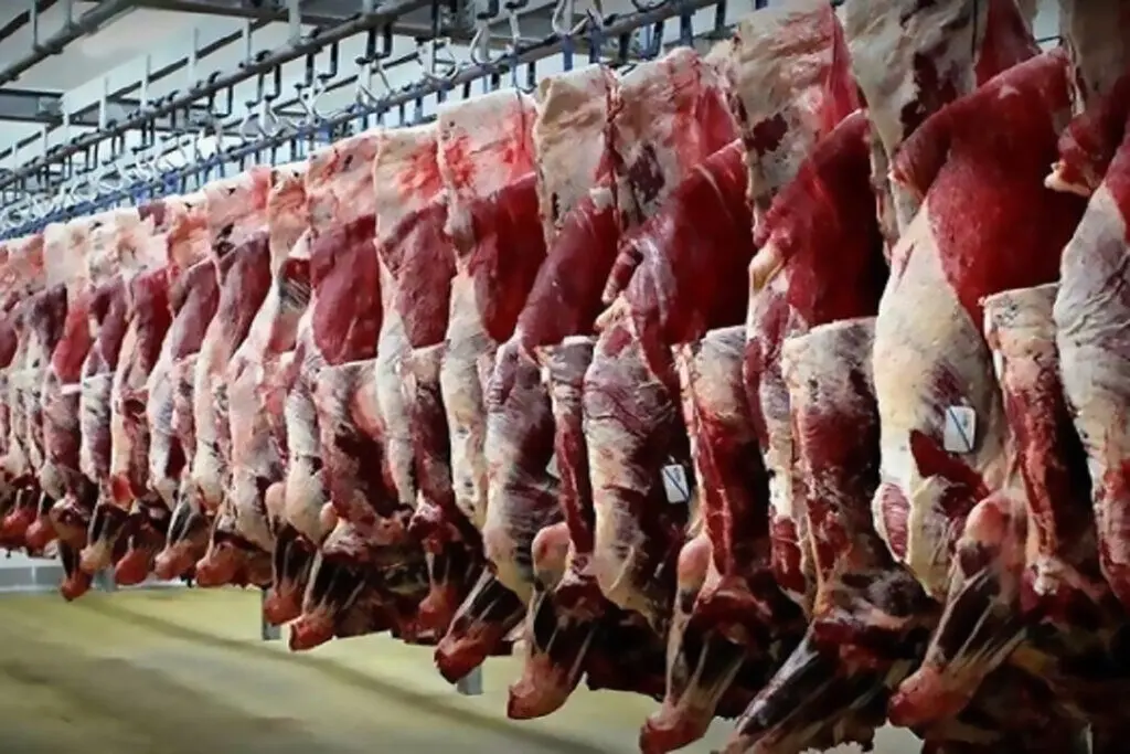 آخرین قیمت گوشت گوسفندی در بازار امروز | قیمت هر کیلو دام سبک زنده چقدر شد؟
