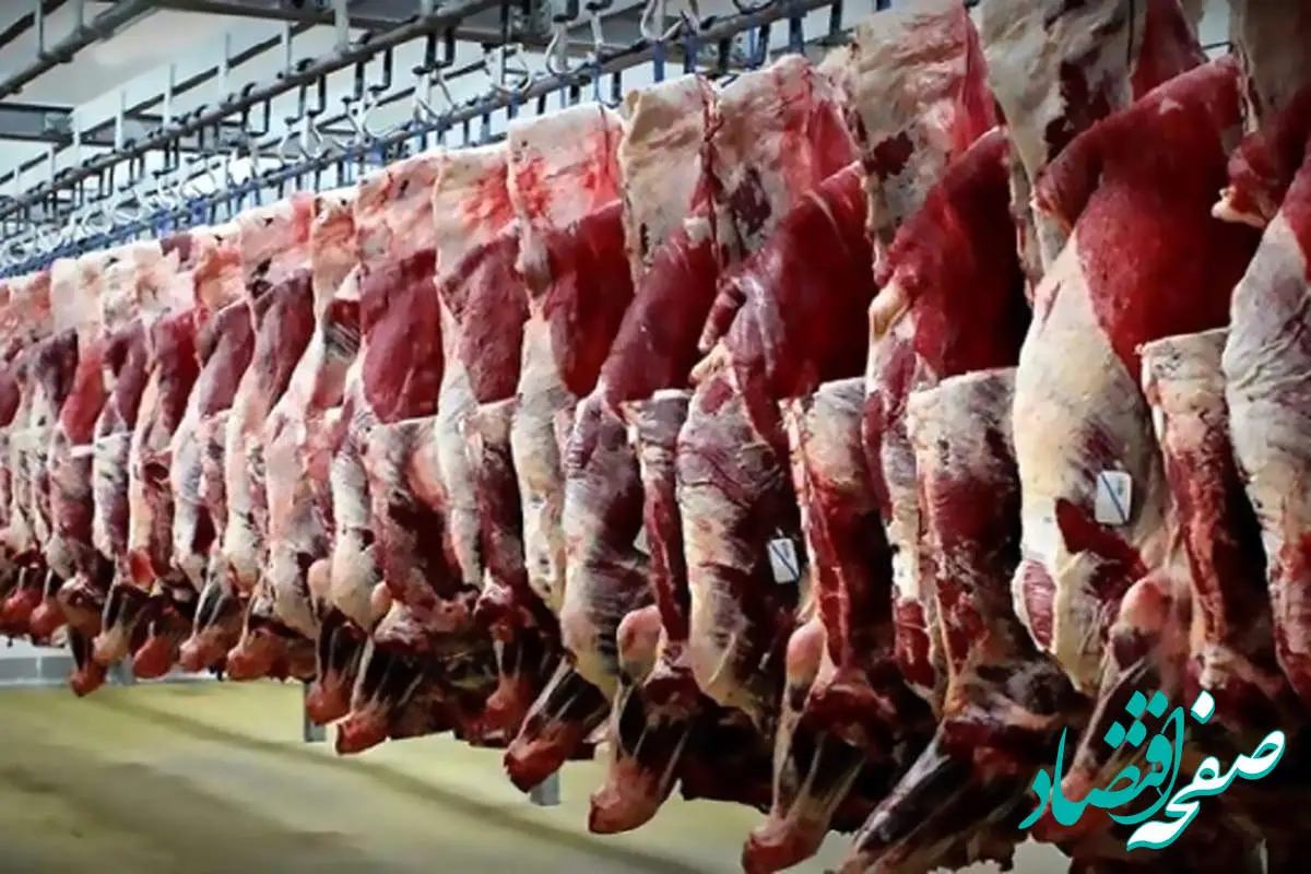 آخرین قیمت گوشت گوسفندی در بازار امروز | قیمت هر کیلو دام سبک زنده چقدر شد؟
