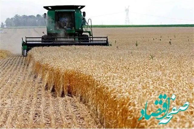  نگرانی کشاورزان در اعلام نرخ خرید تضمینی گندم با ورود سازمان بازرسی پایان می‌یابد؟