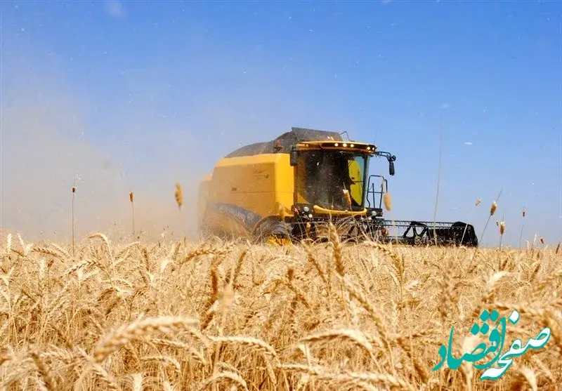 تکلیف پرداخت حق بیمه اراضی گندم روشن شد