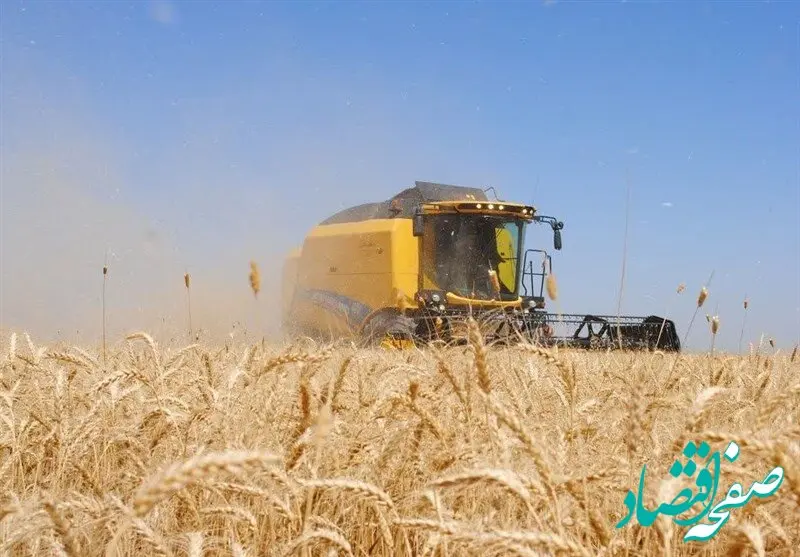 تکلیف پرداخت حق بیمه اراضی گندم روشن شد