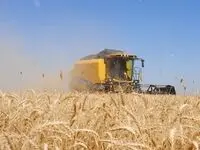 تکلیف پرداخت حق بیمه اراضی گندم روشن شد