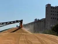 آخرین خبر از خرید تضمینی گندم امروز دوشنبه ۲۵ خرداد ۱۴۰۵ 