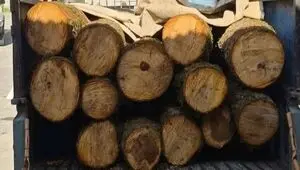کامیون با ۱۰ تن چوب قاچاق در بهشهر توقیف شد