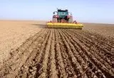 آخرین خبر از خرید تضمینی گندم امروز شنبه ۱۹ اردیبهشت ماه ۱۴۰۵