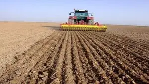 آخرین خبر از خرید تضمینی گندم امروز شنبه ۱۹ اردیبهشت ماه ۱۴۰۵