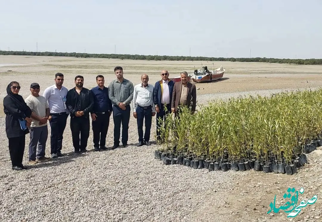 آغاز پروژه بزرگ کاشت نهال حرا توسط شرکت پتروشیمی کارون